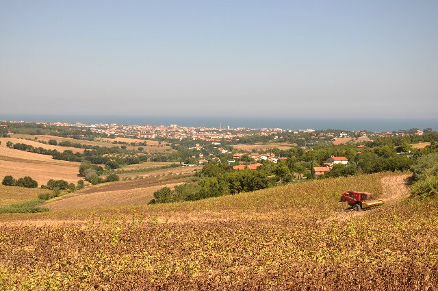 min 2009 08 18 ostra 118